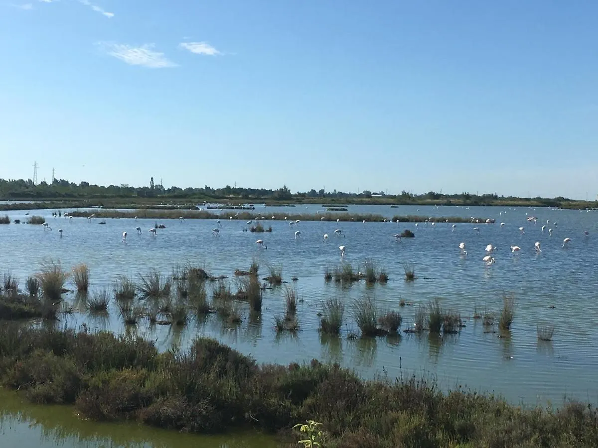 Frühstückspension La Casa Di Celeste B&B Comacchio